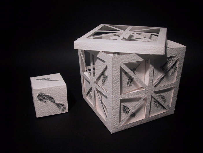 Cubo porta cubi e cromosomi, 2004
